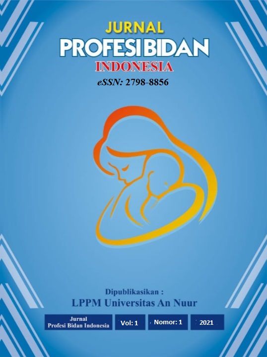 					View Vol. 1 No. 01 (2021): Jurnal Profesi Bidan Indonesia
				